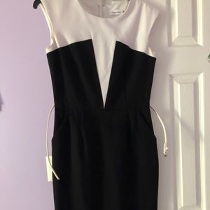 Calvin Klein fitted dress